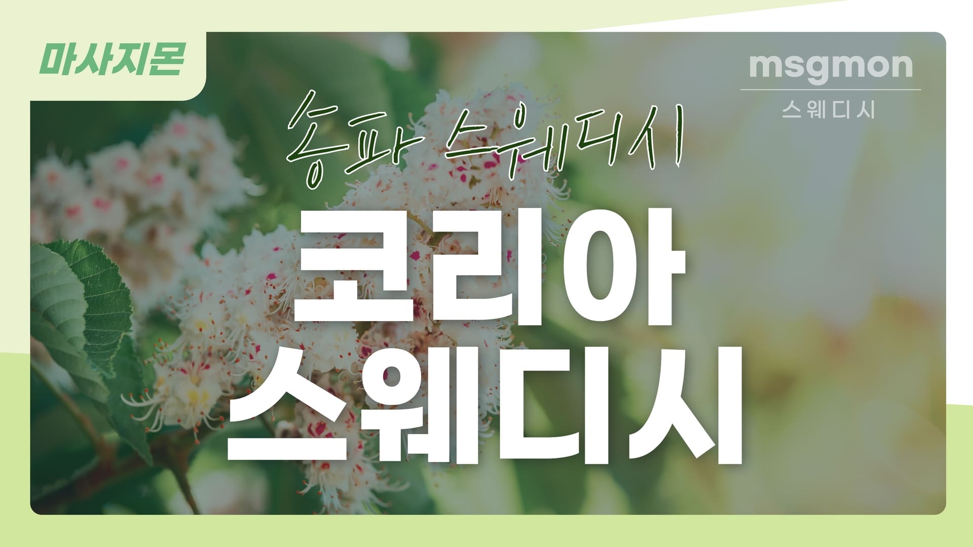 송파 코리아스웨디시